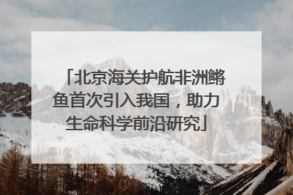 北京海关护航非洲鳉鱼首次引入我国，助力生命科学前沿研究