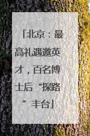 北京：最高礼遇邀英才，百名博士后“探路”丰台