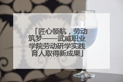 匠心领航，劳动筑梦——武威职业学院劳动研学实践育人取得新成果