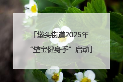 垡头街道2025年“垡宝健身季”启动