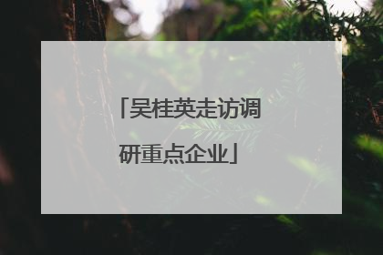 吴桂英走访调研重点企业
