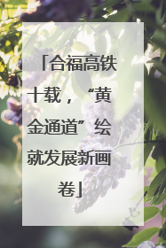 合福高铁十载，“黄金通道”绘就发展新画卷