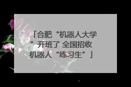 合肥“机器人大学”开班了 全国招收机器人“练习生”