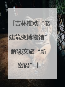 吉林推动“老建筑变博物馆” 解锁文旅“新密码”