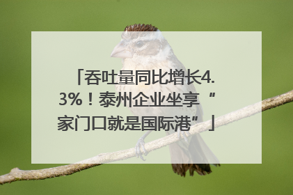 吞吐量同比增长4.3%！泰州企业坐享“家门口就是国际港”