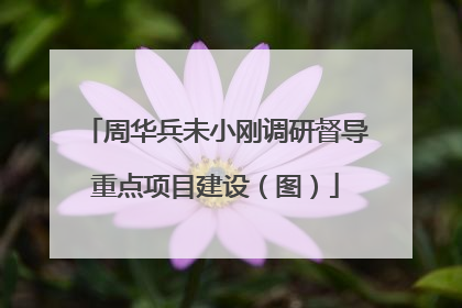 周华兵未小刚调研督导重点项目建设（图）