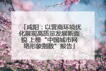 咸阳：以营商环境优化展现高质量发展新面貌 上榜“中国城市网络形象指数”报告