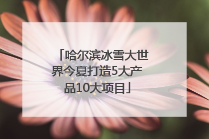 哈尔滨冰雪大世界今夏打造5大产品10大项目