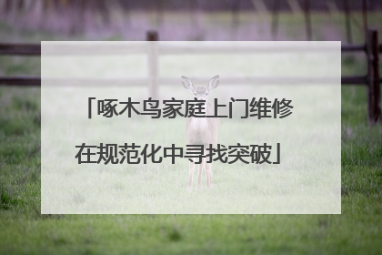 啄木鸟家庭上门维修在规范化中寻找突破
