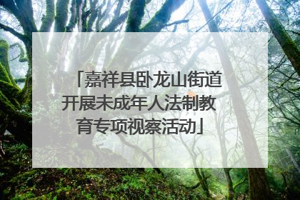 嘉祥县卧龙山街道开展未成年人法制教育专项视察活动