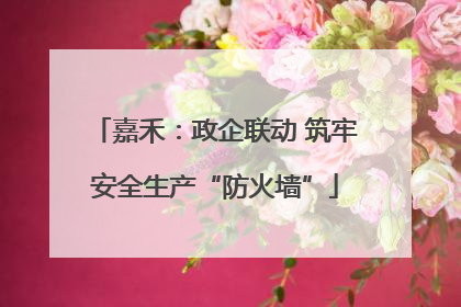 嘉禾：政企联动 筑牢安全生产“防火墙”