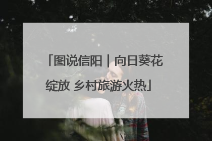 图说信阳｜向日葵花绽放 乡村旅游火热