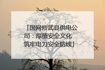国网修武县供电公司：厚植安全文化 筑牢电力安全防线