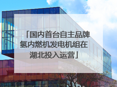 国内首台自主品牌氢内燃机发电机组在湖北投入运营