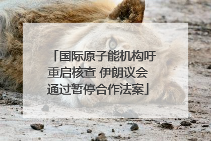 国际原子能机构吁重启核查 伊朗议会通过暂停合作法案