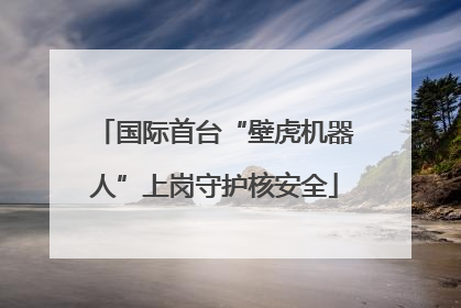 国际首台“壁虎机器人”上岗守护核安全