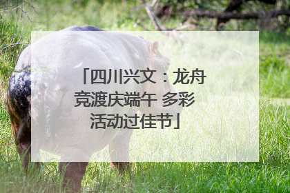 四川兴文：龙舟竞渡庆端午 多彩活动过佳节