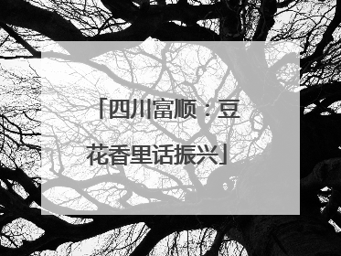四川富顺：豆花香里话振兴