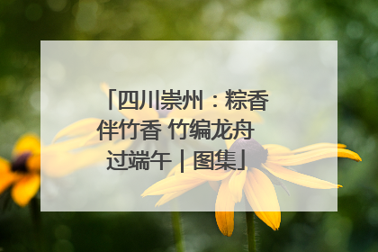 四川崇州：粽香伴竹香 竹编龙舟过端午｜图集