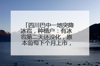 四川巴中一地突降冰雹，种植户：有冰雹第二天还没化，原本葡萄下个月上市，现在全被打落