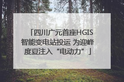 四川广元首座HGIS智能变电站投运 为迎峰度夏注入“电动力”