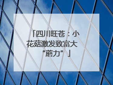 四川旺苍：小花菇激发致富大“蘑力”