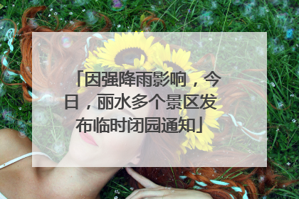 因强降雨影响，今日，丽水多个景区发布临时闭园通知