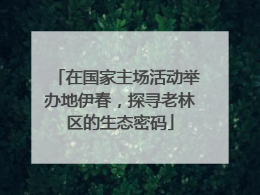 在国家主场活动举办地伊春，探寻老林区的生态密码
