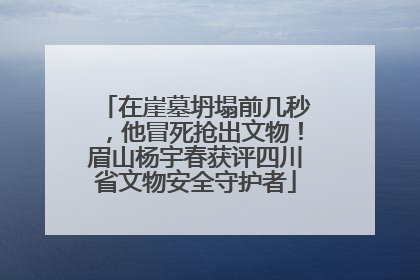在崖墓坍塌前几秒，他冒死抢出文物！眉山杨宇春获评四川省文物安全守护者