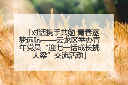 对话携手共勉 青春逐梦远航——云龙区举办青年党员“迎七一话成长挑大梁”交流活动