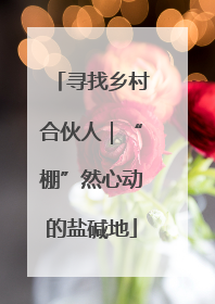 寻找乡村合伙人｜“棚”然心动的盐碱地