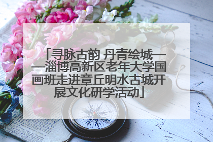 寻脉古韵 丹青绘城——淄博高新区老年大学国画班走进章丘明水古城开展文化研学活动