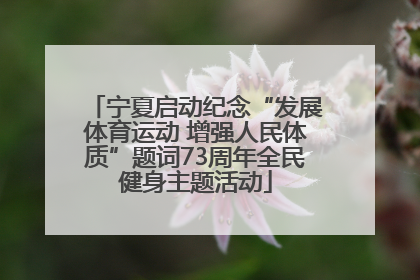 宁夏启动纪念“发展体育运动 增强人民体质”题词73周年全民健身主题活动
