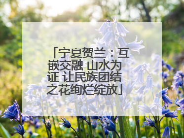 宁夏贺兰：互嵌交融 山水为证 让民族团结之花绚烂绽放