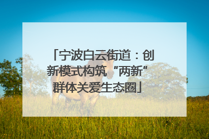 宁波白云街道：创新模式构筑“两新”群体关爱生态圈