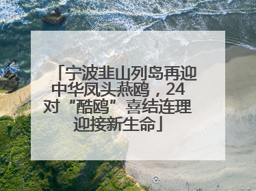 宁波韭山列岛再迎中华凤头燕鸥，24对“酷鸥”喜结连理迎接新生命