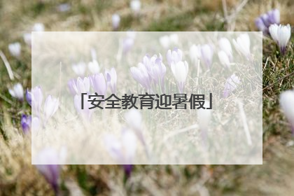 安全教育迎暑假