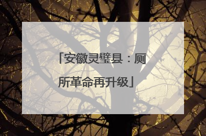 安徽灵璧县：厕所革命再升级