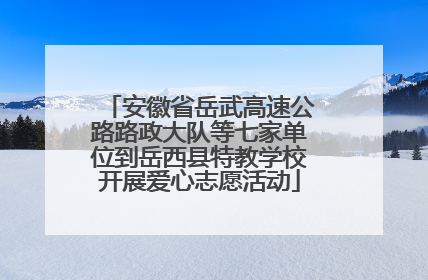 安徽省岳武高速公路路政大队等七家单位到岳西县特教学校开展爱心志愿活动