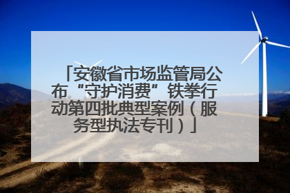 安徽省市场监管局公布“守护消费”铁拳行动第四批典型案例（服务型执法专刊）