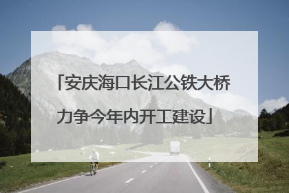 安庆海口长江公铁大桥力争今年内开工建设