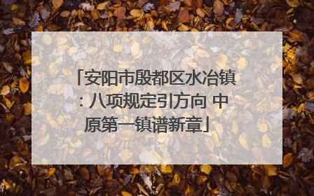 安阳市殷都区水冶镇：八项规定引方向 中原第一镇谱新章