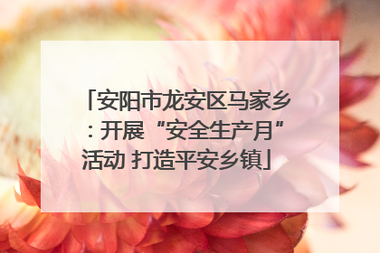 安阳市龙安区马家乡：开展“安全生产月”活动 打造平安乡镇
