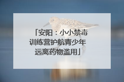 安阳：小小禁毒训练营护航青少年远离药物滥用