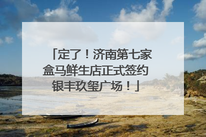 定了！济南第七家盒马鲜生店正式签约银丰玖玺广场！