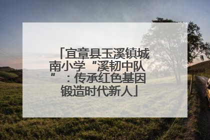 宜章县玉溪镇城南小学“溪韧中队”：传承红色基因 锻造时代新人