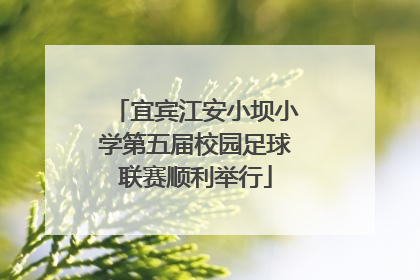 宜宾江安小坝小学第五届校园足球联赛顺利举行