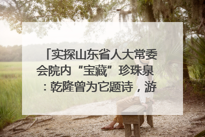 实探山东省人大常委会院内“宝藏”珍珠泉：乾隆曾为它题诗，游客无需预约免费游览