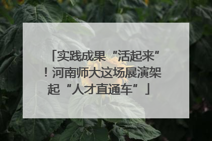实践成果“活起来”！河南师大这场展演架起“人才直通车”