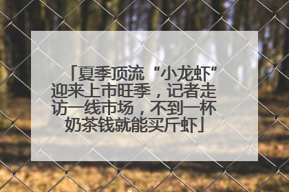 夏季顶流“小龙虾”迎来上市旺季，记者走访一线市场，不到一杯奶茶钱就能买斤虾